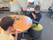 Partner Flashcard Testing