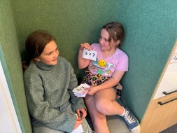 Partner Flashcard Testing