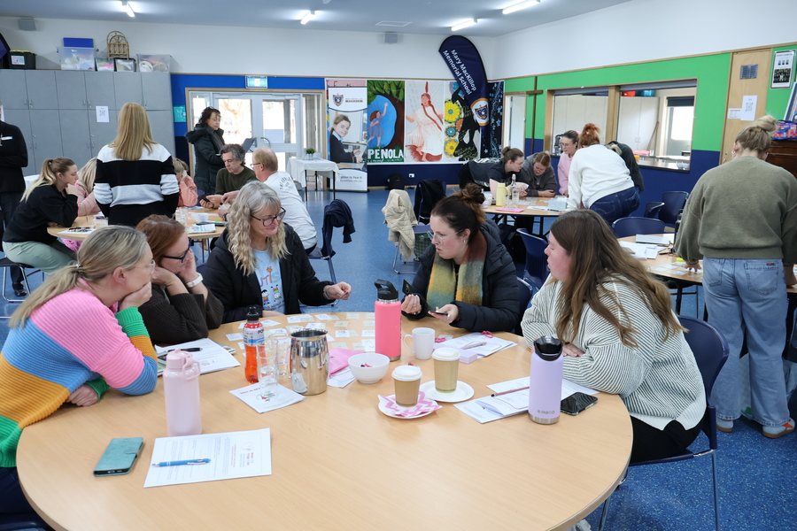 Professional Learning