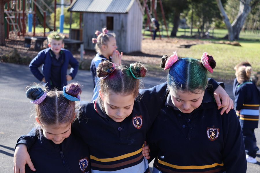 Crazy Hair Day Gallery